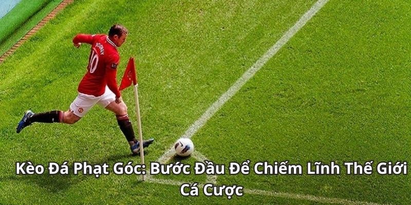 Công Cụ Hỗ Trợ Phân Tích Kèo Phạt Góc
