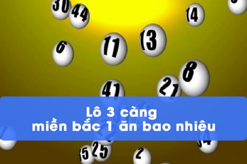 Nên Chơi Lô Ba Càng Bao Nhiêu Tiền?