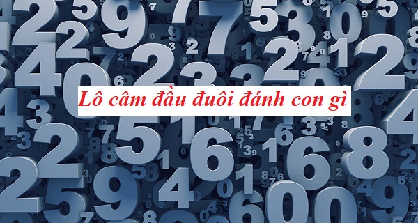 Nguyên Lý Hoạt Động Và Cơ Chế