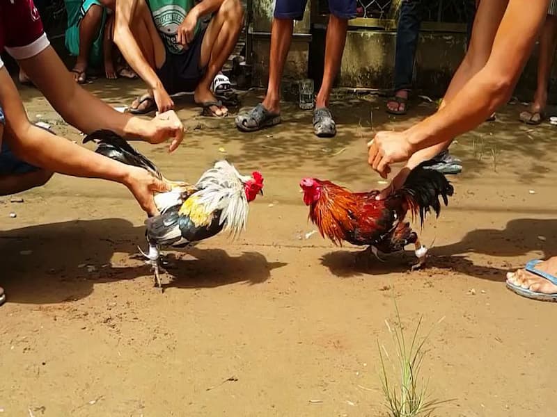Hệ Thống Chấm Điểm
