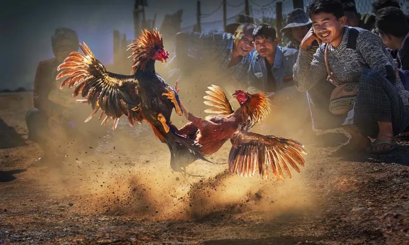Câu Hỏi Thường Gặp (FAQ)