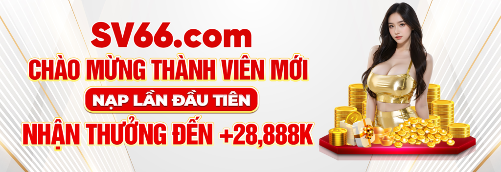 Banner SV66